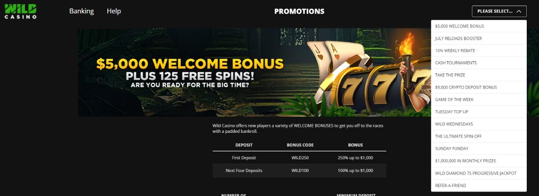 Wild Casino bonus and promotions